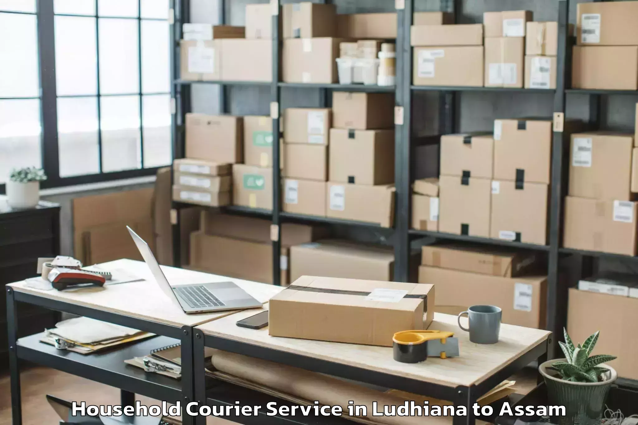 Reliable Ludhiana to Bhaga Household Courier